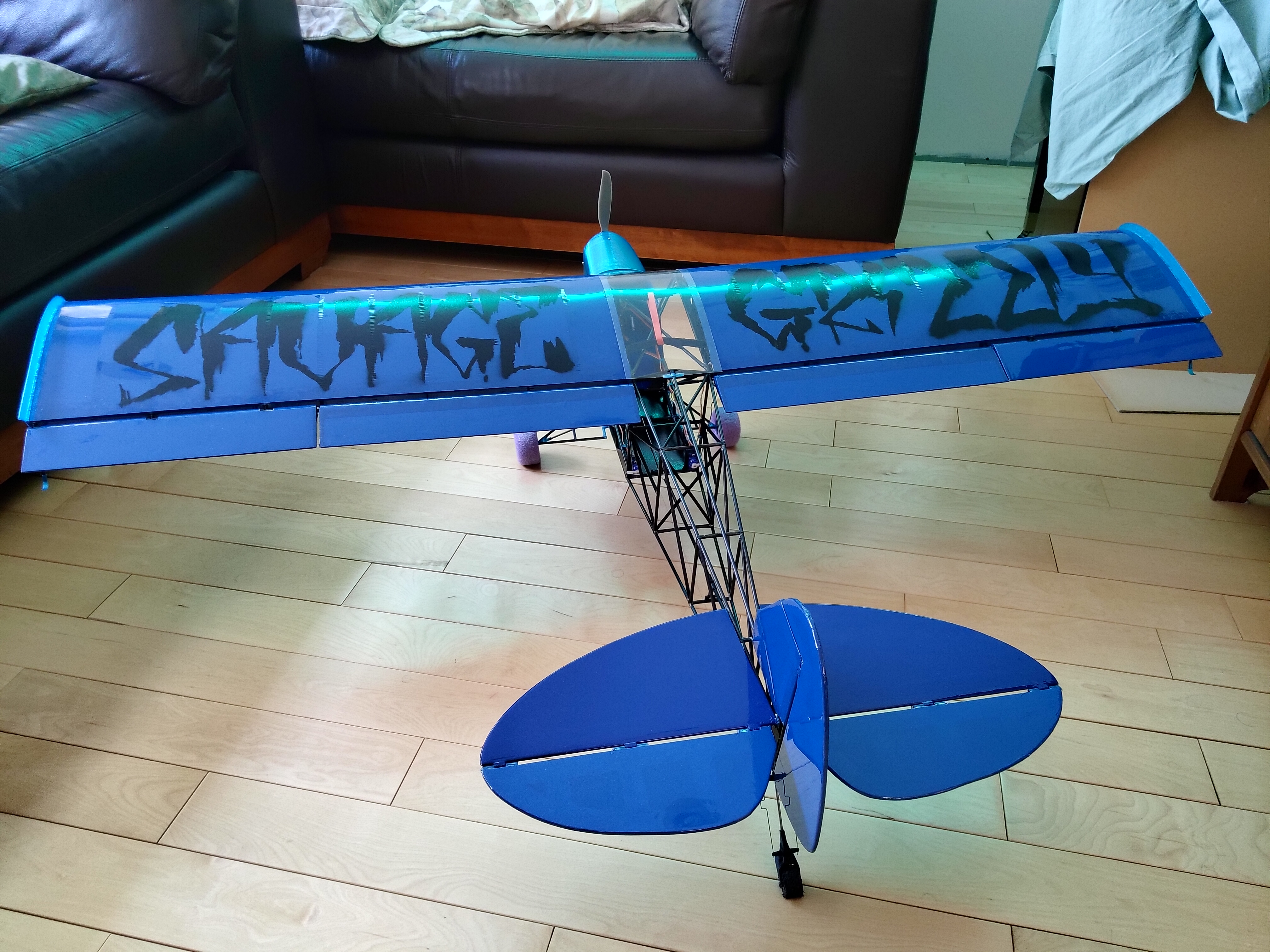 1/6th Scale RC Aircraft - Image 6